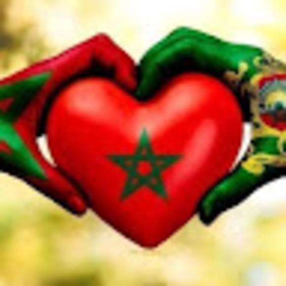 Meet your Posher, Robby - Picture 1 of 1